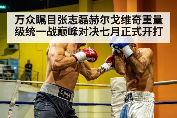 万众瞩目张志磊赫尔戈维奇重量级统一战巅峰对决七月正式开打