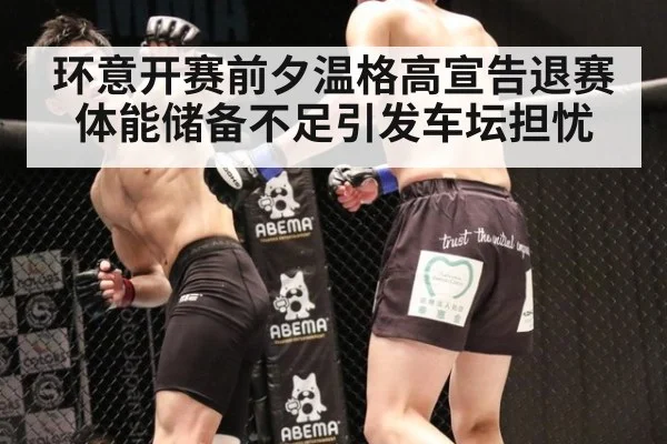 环意开赛前夕温格高宣告退赛 体能储备不足引发车坛担忧